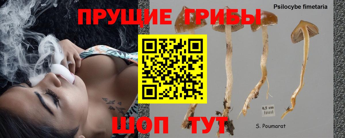 Галлюциногенные грибы Magic Shrooms  Вход с VPN  Сыктывкар 
